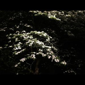 Meet your Posher, Tess